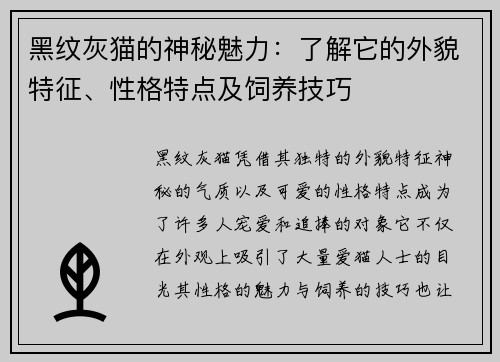 黑纹灰猫的神秘魅力：了解它的外貌特征、性格特点及饲养技巧
